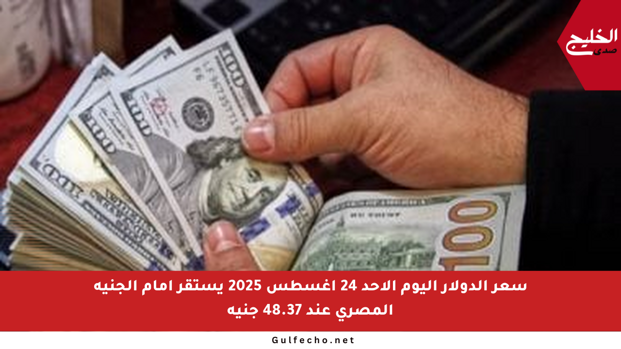 سعر الدولار اليوم الأحد 24 أغسطس 2025 يستقر أمام الجنيه المصري عند 48.37 جنيه